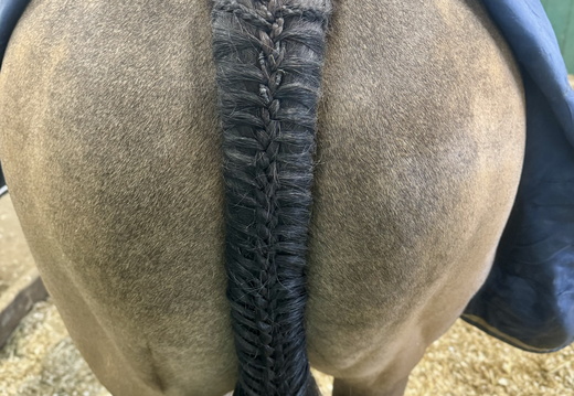 Plaiting Services 